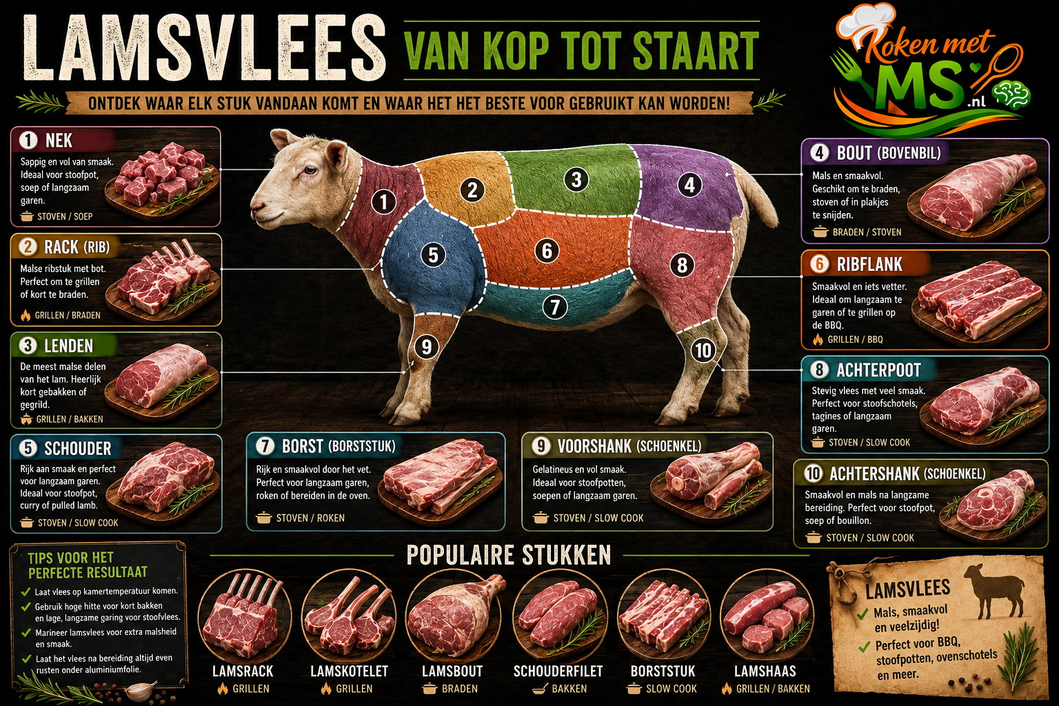 Lam van kop tot staart