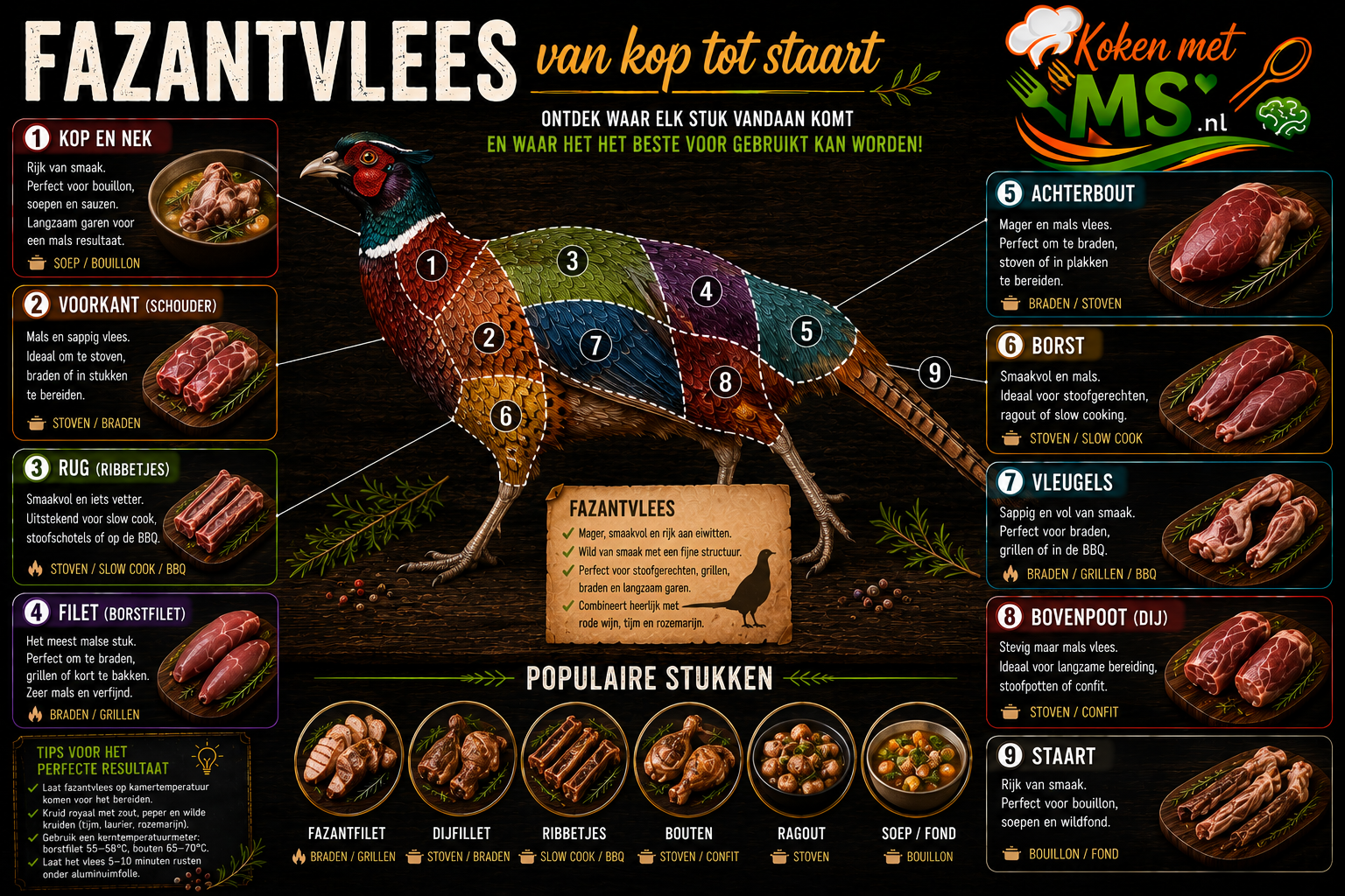 Fazant van kop tot staart