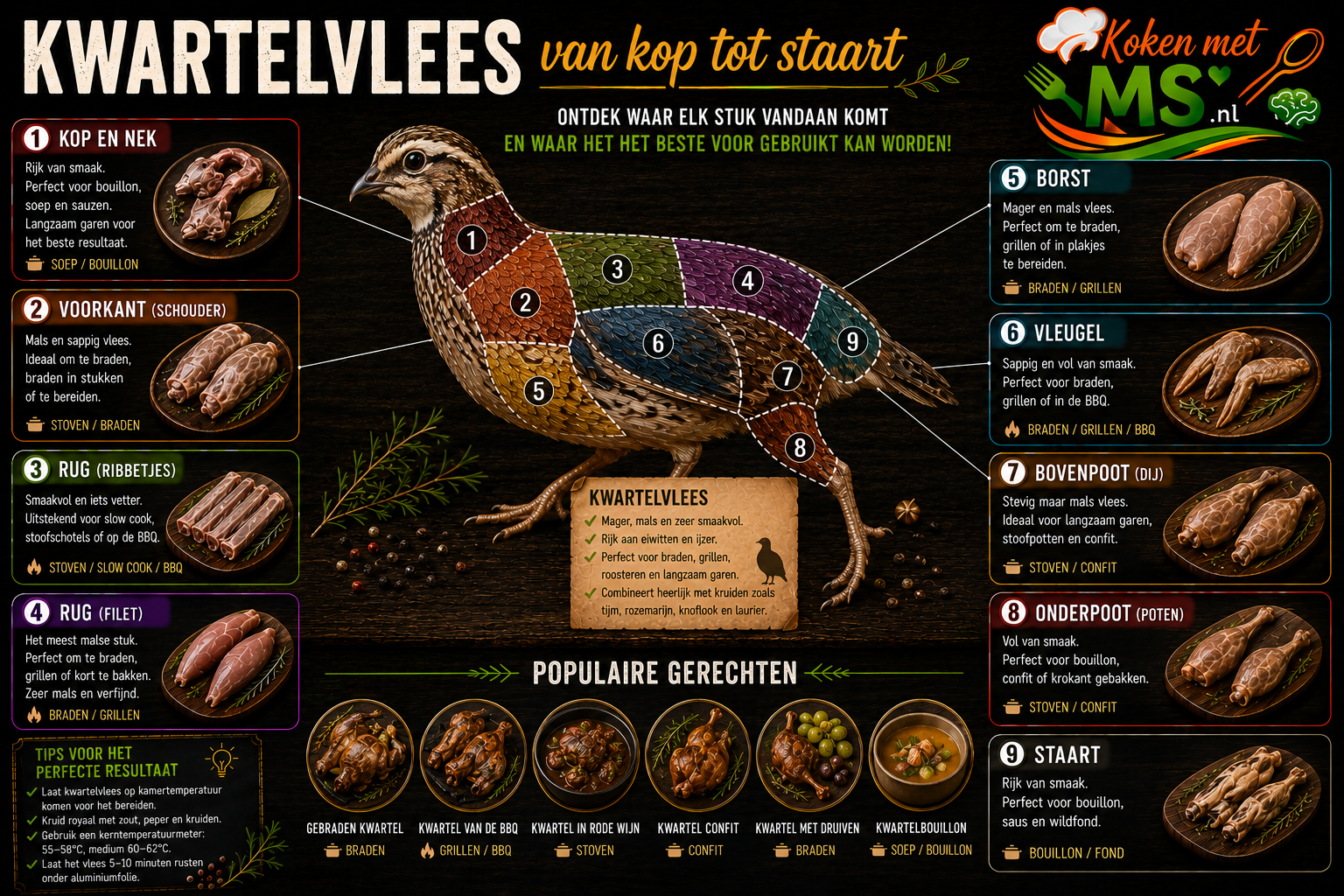 Kwartel van kop tot staart